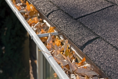 5 Signs Your Gutters Need To Be Cleaned Out