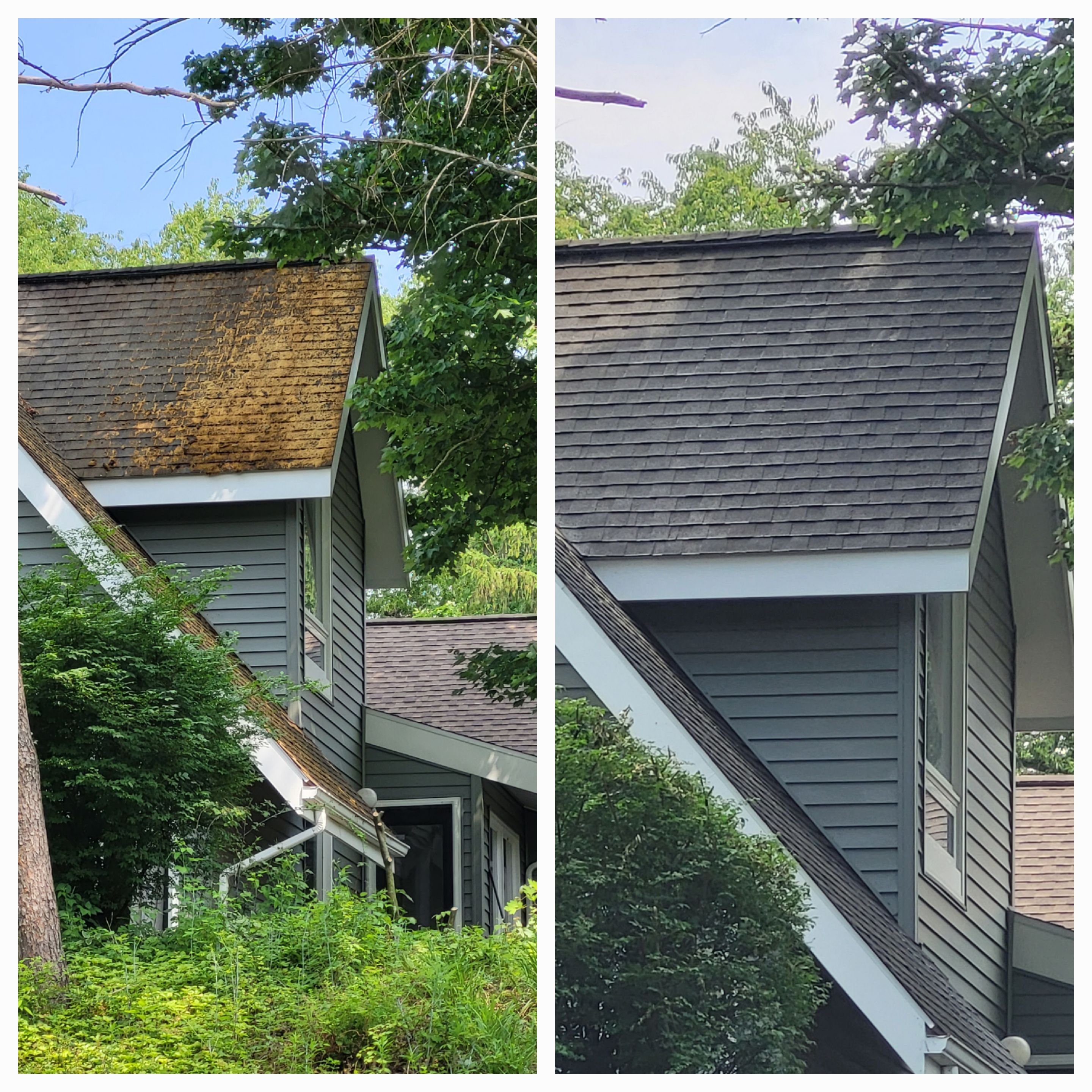 Amazing Asphalt Shingle Transformation in Lewisburg PA