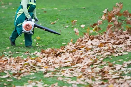 Seasonal Yard Cleanup